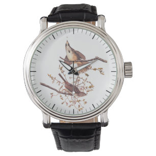 Montre Oiseaux Audubon à long Bruant avec Araignée minusc