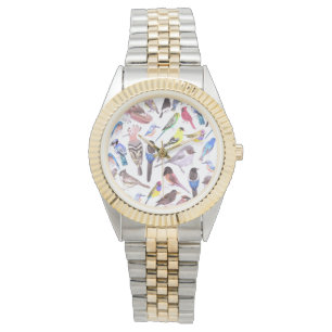 Montre Oiseaux d'Amérique - animaux domestiques et oiseau