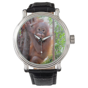 Montre Orang-outan de bébé de charité de faune
