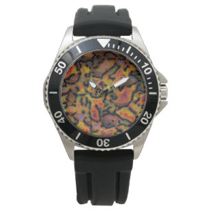 Montre Orange Petrifié Dinosaure Os