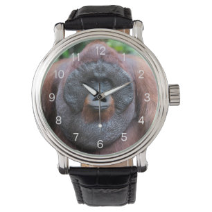 Montre orangoutan