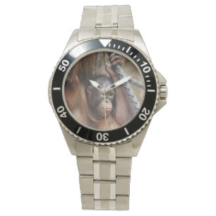 Montre OrangUtan 002
