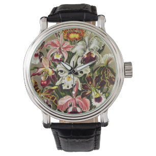 Montre Orchidées, Orchidée Denusblumen Ernst Haeckel