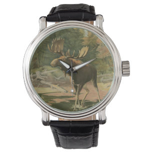 Montre Orignaux marchant dans l'eau