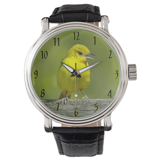 Montre Oriole de verger - Photographie originale (devant)
