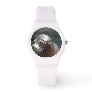 Montre Otarie avec un visage mignon