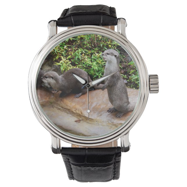 Montre Otter Be Parle, (devant)
