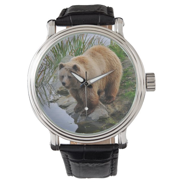 Montre Ours au bord d'un lac (devant)
