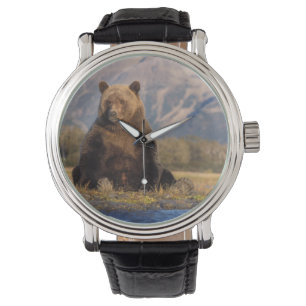 Montre ours brun, Ursus arctos, grizzli, Ursus