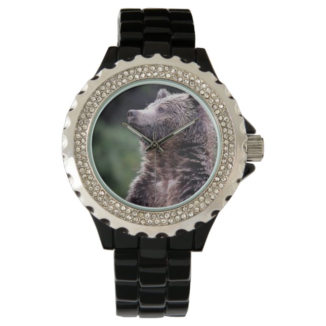 Montre Ours Grizzli debout (devant)