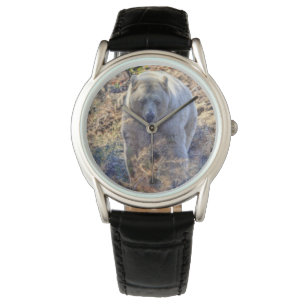 Montre Ours Kermode Rare (Ours Esprit) Photo Faune