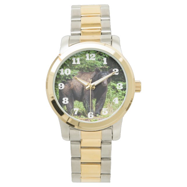 Montre Ours noir Alpha (devant)