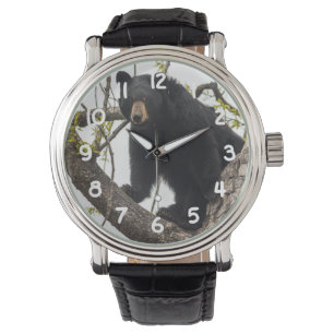 Montre Ours noir Escalade