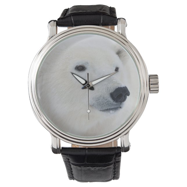 Montre Ours polaire Churchill (devant)