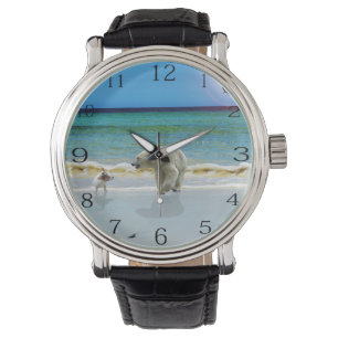 Montre Ours Polaire Et Jack Russel Sur La Plage,