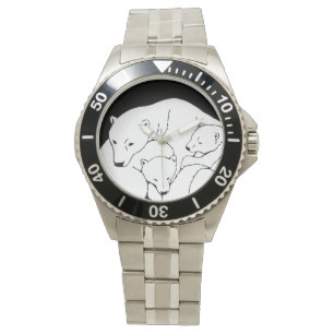 Montre Ours Polaire Observez Ours Faune Ours Cubs Regarde