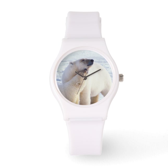 Montre Ours polaire semé avec un petit, emballer (Recto)