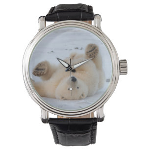 Montre ours polaire, Ursus maritimus, ourson roulant 3