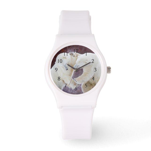 Montre Ours polaires en garde 2 (Recto)