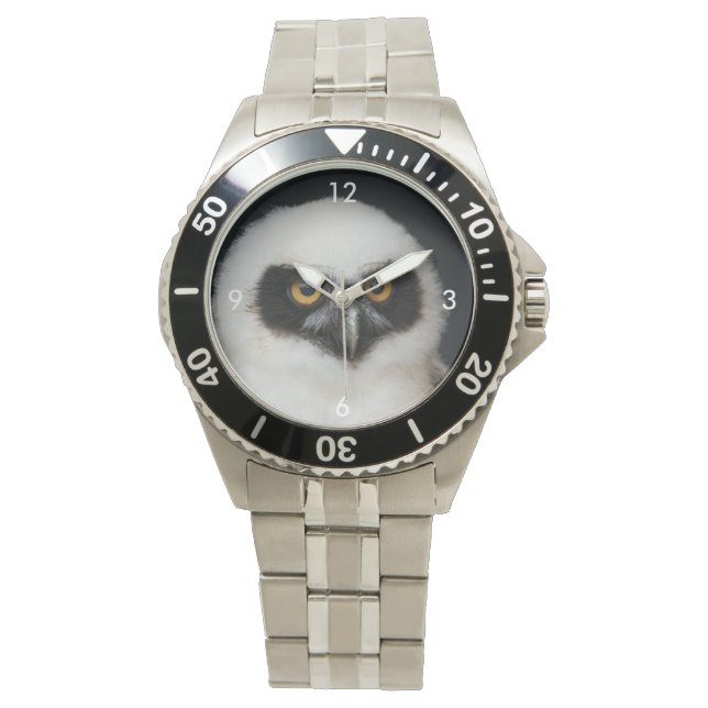Montre Owl_20180210_by_JAMFoto (devant)