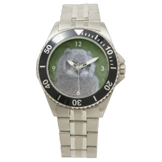 Montre Owl_20180215_by_JAMFoto