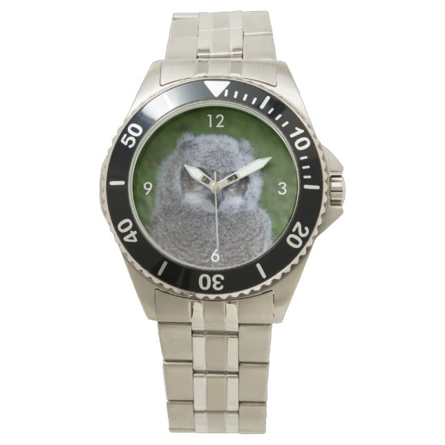 Montre Owl_20180215_by_JAMFoto (devant)