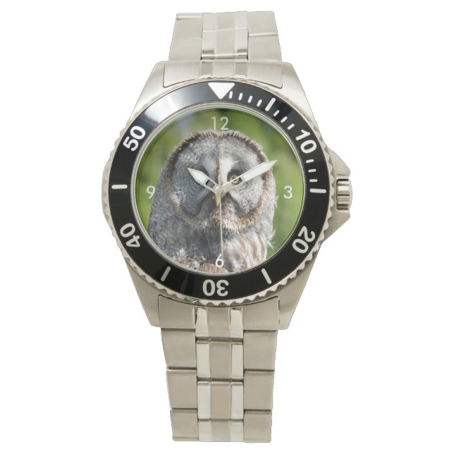 Montre Owl_20180219_by_JAMFoto (devant)
