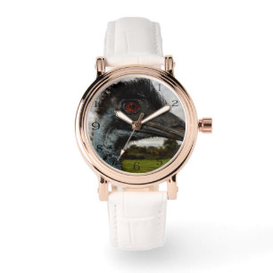 Montre "Paillement dans l'œil : le regard curieux d'un Ém