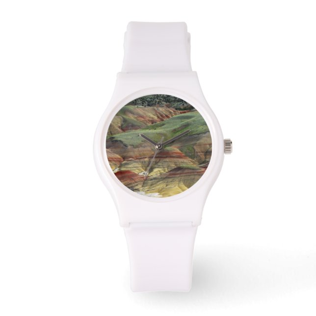 Montre Painted Hills, lits fossilifères de John Day, Mitc (Recto)