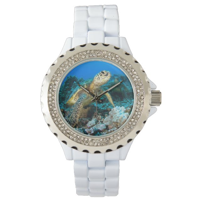 Montre Paire de tortue (devant)