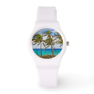 Montre Palmiers à noix de coco (Cocos nucifera) se balanç