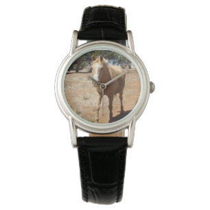 Montre Palomino Horse Salutation, -