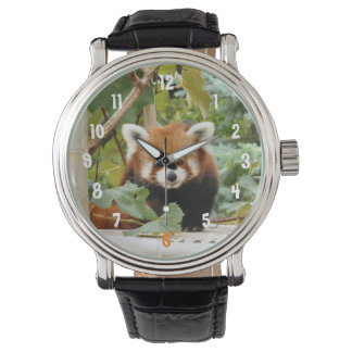 Montre Panda rouge