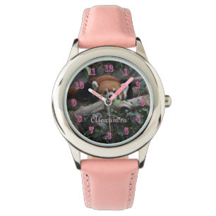 Montre Panda rouge attentif dans le zoo