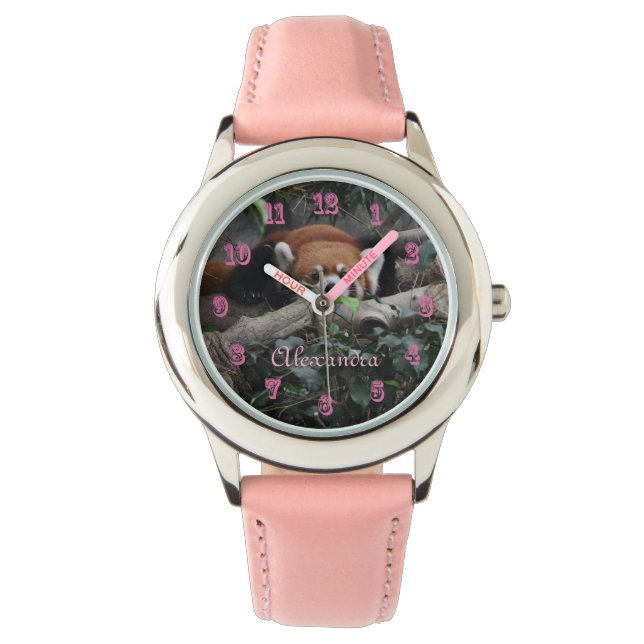 Montre Panda rouge attentif dans le zoo (devant)