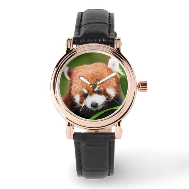 Montre Panda roux mignon (Recto)