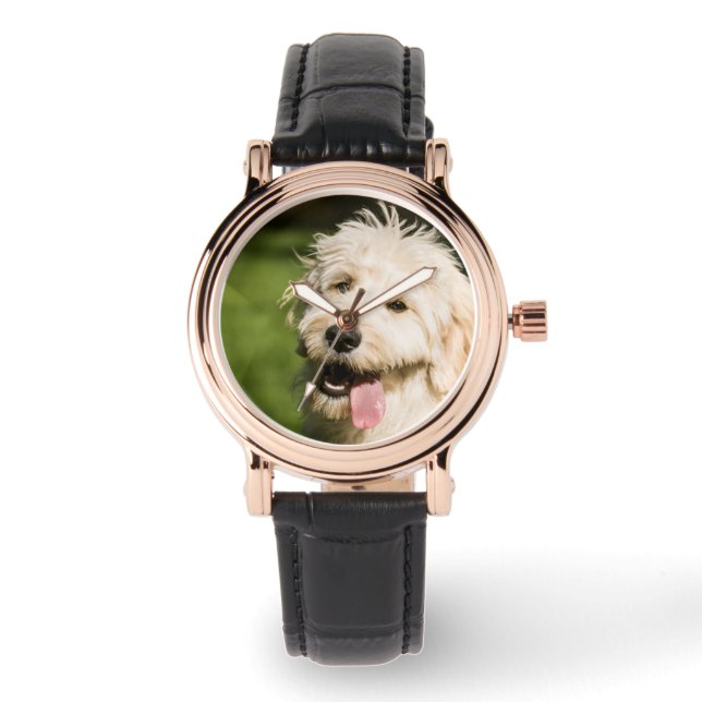 Montre Panneaux de chiot Goldendoodle (Recto)