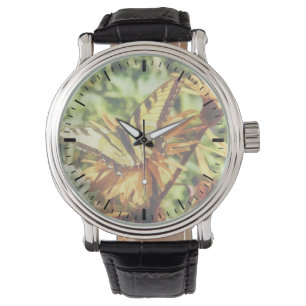 Montre Papilio glaucus sur une fleur sauvage jaune