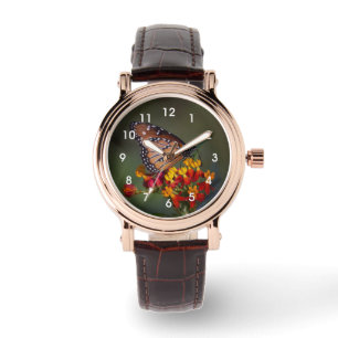Montre Papillon de la reine sur l'algue tropicale