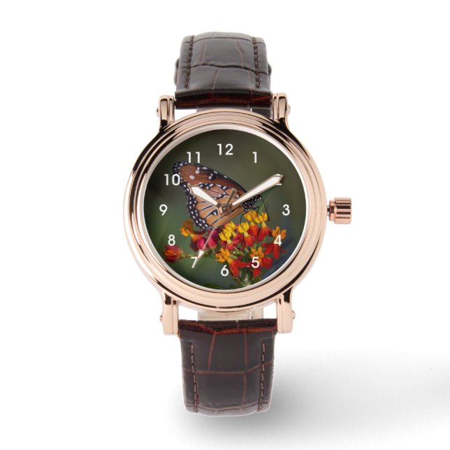 Montre Papillon de la reine sur l'algue tropicale (Recto)