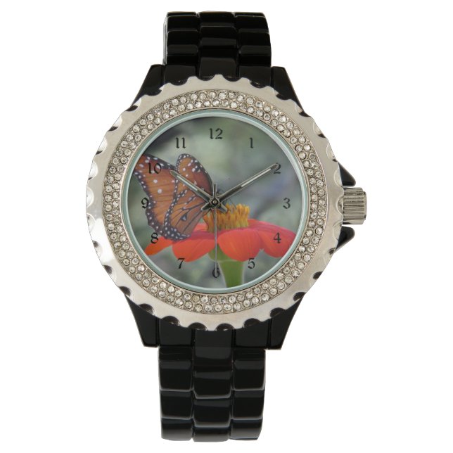Montre Papillon de la reine sur tournesol mexicain (devant)