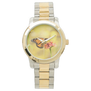 Montre Papillon de monarque sur le Zinnia