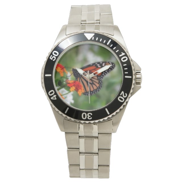 Montre Papillon Monarque sur Orange et Lantana Rouge (devant)