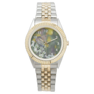 Montre Papillon skipper sur une fleur