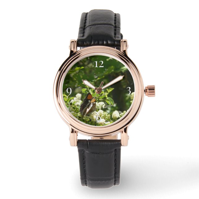 Montre Papillon-soeur de Californie en Yosemite (Recto)