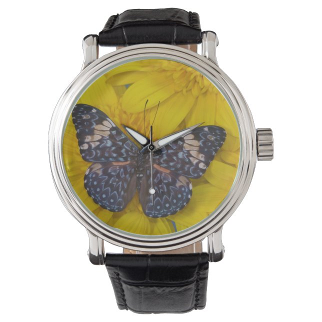 Montre Papillon sur une fleur jaune (devant)
