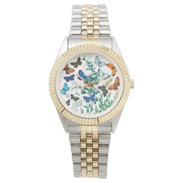 Montre Papillons, Caterpillar, William Forsell Kirby (devant)