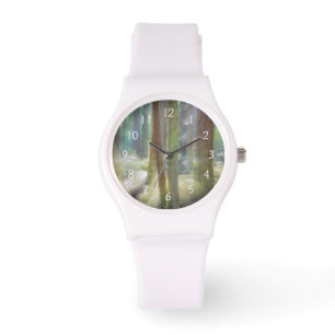 Montre Parc d'État de Scenic Beach