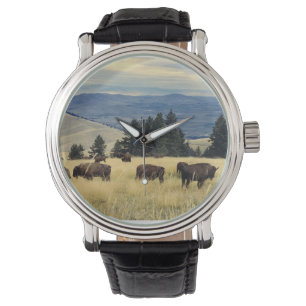 Montre Parc national de Bison Herd