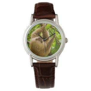 Montre Paresse à l'envers des images   de Getty